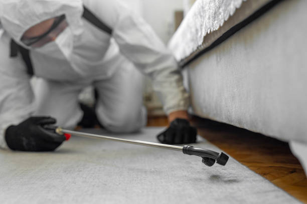 Professional Pest Control technician working in Jackson County County, IA